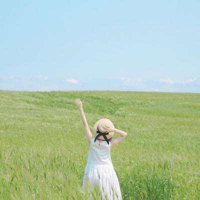 必一体育官网平台截图